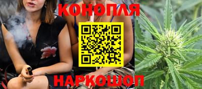 крисы Краснознаменск