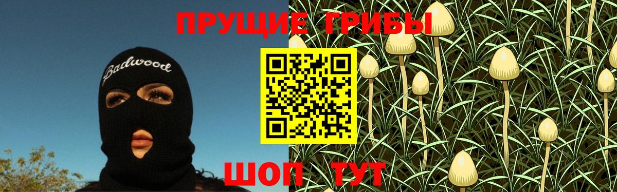 Псилоцибиновые грибы Psilocybine cubensis  Вход с VPN  Дятьково 